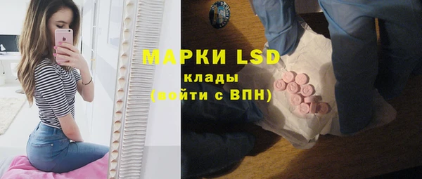 гашик Верея