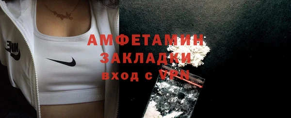 гашик Верея