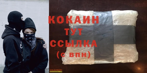 гашик Верея