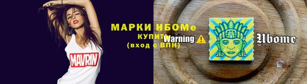 гашик Верея