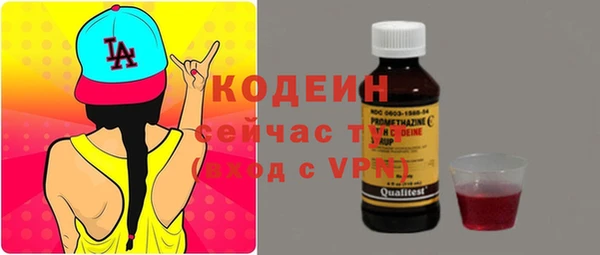 гашик Верея