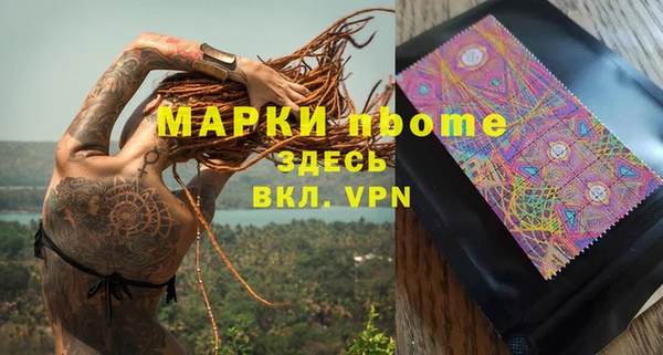 гашик Верея