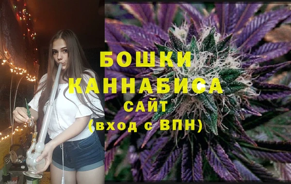 трава Слюдянка