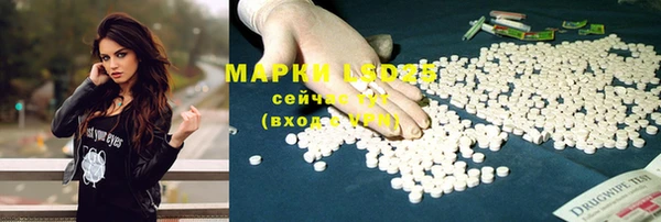 гашик Верея