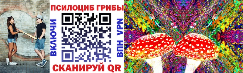 где купить наркоту  Горбатов  Псилоцибиновые грибы Cubensis 